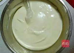 Yoghurt chiffon cake recipe 9