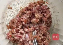 Illustration of how to make assorted wontons 6