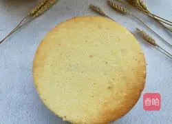 Yoghurt chiffon cake recipe 15
