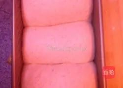 Whole wheat toast recipe 5