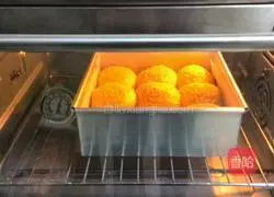 Cheese bread recipe 13