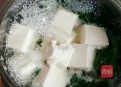 Illustration of how to make mustard green tofu and pork soup 11