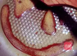 Illustration of braised pork elbow 7