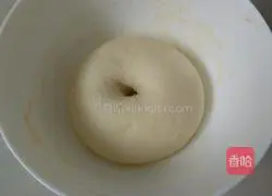 Assorted pizza recipes 3