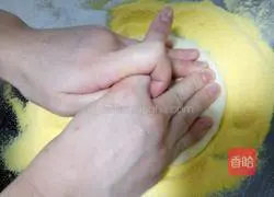 Professional durian pizza Practice illustration 6