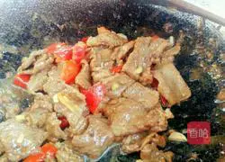 Illustration of Stir-fried Tender Beef 11