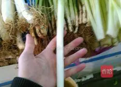 Illustration of authentic spicy chicken diced 4