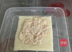 Tuna cheese sandwich recipe 5