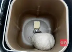 Recipe for Mushroom, Red Sausage and Bacon Pizza (9 inches) 2