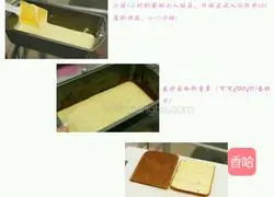 Chocolate Vanilla Cake Illustration of how to do it 8