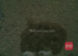 Yinlu Babao Porridge and Golden Nematode Bread (Curry Salt and Pepper Fish Sausage) Recipe Illustration 3