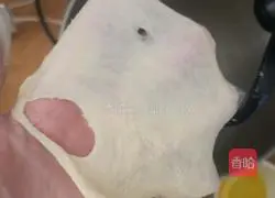 How to make pure coconut milk buns Illustration 4