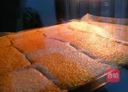 Illustration of how to make Chiba pattern sponge cake 14