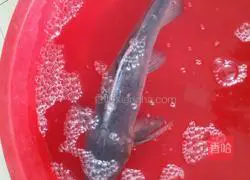 Illustration of how to make ginger spicy fish 1