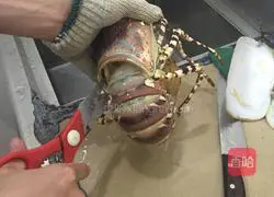 Illustration of how to cook Australian lobster 2