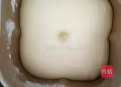 Coconut Flower Bread Recipe Illustration 4