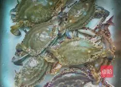 Illustration of how to make drunk crab 1