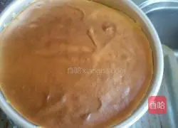 Cornmeal yogurt cake recipe 6