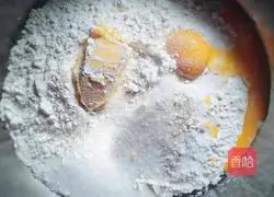 Assorted pizza recipes 1