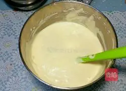 Yoghurt Cheesecake Recipe Illustration 7