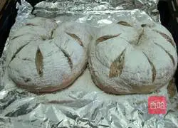 Illustration of how to make whole wheat brown sugar and red dates European buns 10