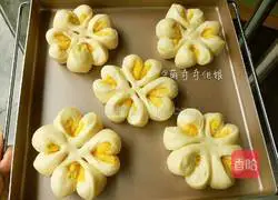 Fancy Coconut Bread Recipe Illustration 14