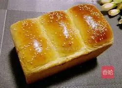 Toast Bread Recipe Illustration 9