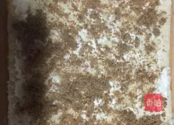 Illustration of how to make meat floss bread 13