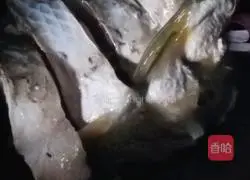 Parents' dish Illustration of how to make fish stew with tofu 6