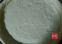 Homemade 8-inch 9-inch pizza crust pizza sauce pizza recipe illustration 4