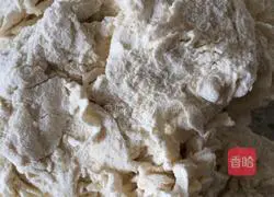 Durian pizza recipe 3