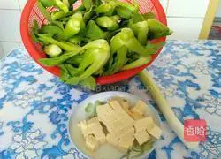 Illustration of Rapeseed Tofu Dating 1