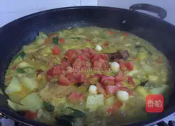 Illustration of Indian Colorful Vegetable Curry Chicken 7