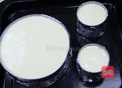 Illustrations of the world's most authentic Carnation method 10