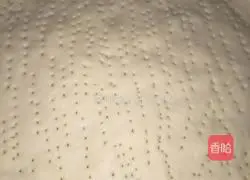 Chicken Bacon Pizza Recipe Illustration 6