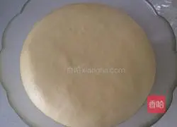 Honey Bread Recipe Illustration 8