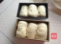 Cranberry Toast Recipe Illustration 7