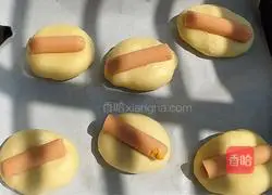 Corn Illustration of how to make ham bread 5