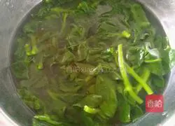 Illustration of how to make cold andrographis paniculata 4