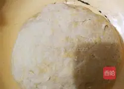 Durian Fruit Pizza Recipe Illustration 3