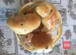 Milk raisin bread recipe 11