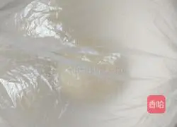 Assorted pizza recipes 2