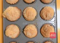 Coconut Cream Cranberry Muffin Cake Recipe Illustration 19