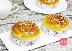 Illustration of how to make hamburger embryos (medium seeding method) 15