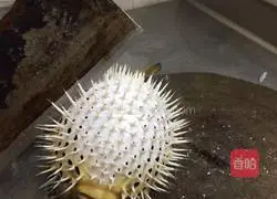 Illustration of how to make braised chicken and fish with ginger paste 1