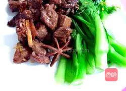 Illustration of Beef Stew 11