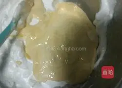 Mango Cake Roll Recipe Illustration 8