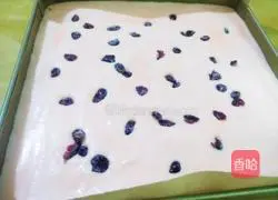 Cranberry Cake Roll Recipe Illustration 13