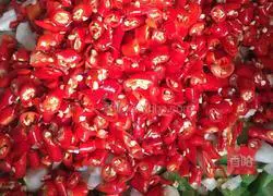 [Homemade Crispy Pickles] Recipe Illustration 2