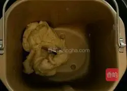 Illustration of how to make Bread Machine Spicy Beef Sauce Margherita Pizza 1